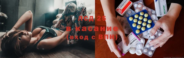 spice Снежногорск