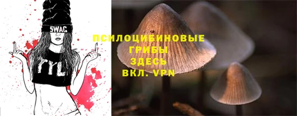 хмурый Абаза
