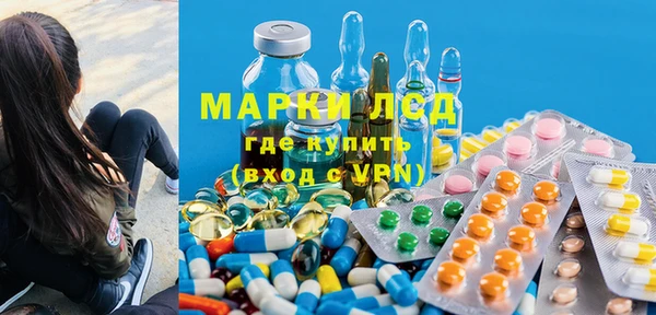 хмурый Абаза