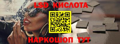 крисы Шахты