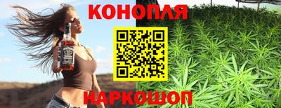крисы Шахты