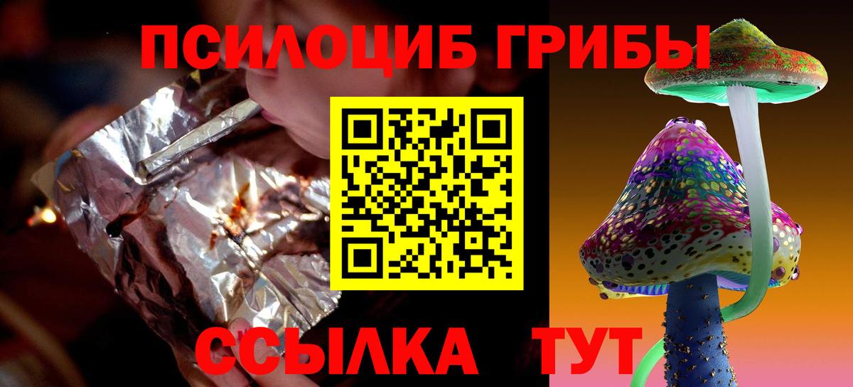 где купить   Вход с VPN  Псилоцибиновые грибы мухоморы  Дятьково  Галлюциногенные грибы Psilocybe 